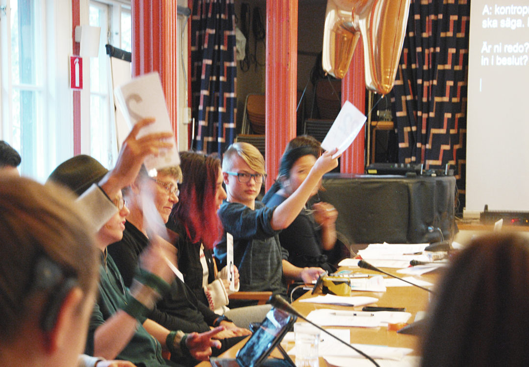 UH Medlemmar på årsmöte, viftar med röstkort